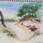 Ile d'OLéron -Plage de Gatseau